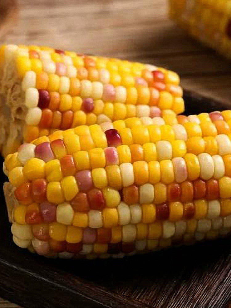 Colorful Glutinous Corn
