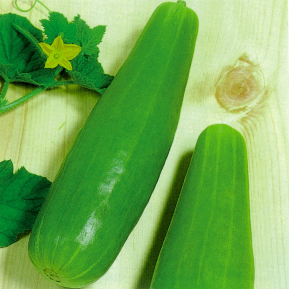 5 Bags (2g / Bag) of Qinglong Cucumber Seeds, Suitable for Raw Consumption, Pickling, and Stir-frying