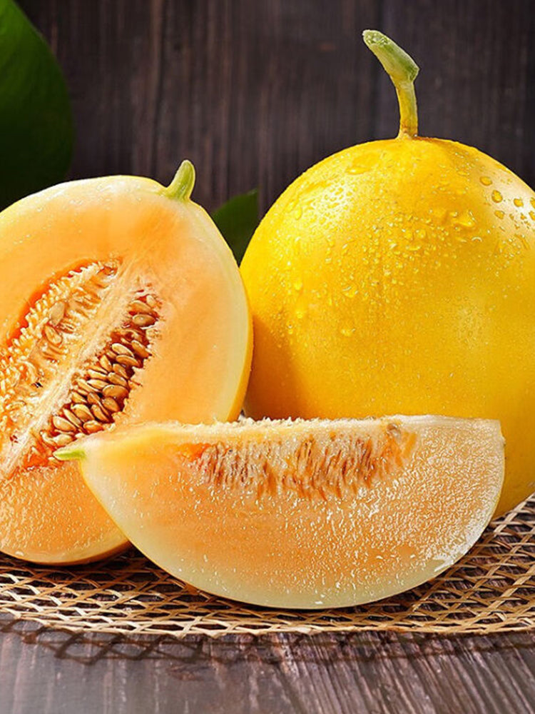 Jinxiangyu Muskmelon