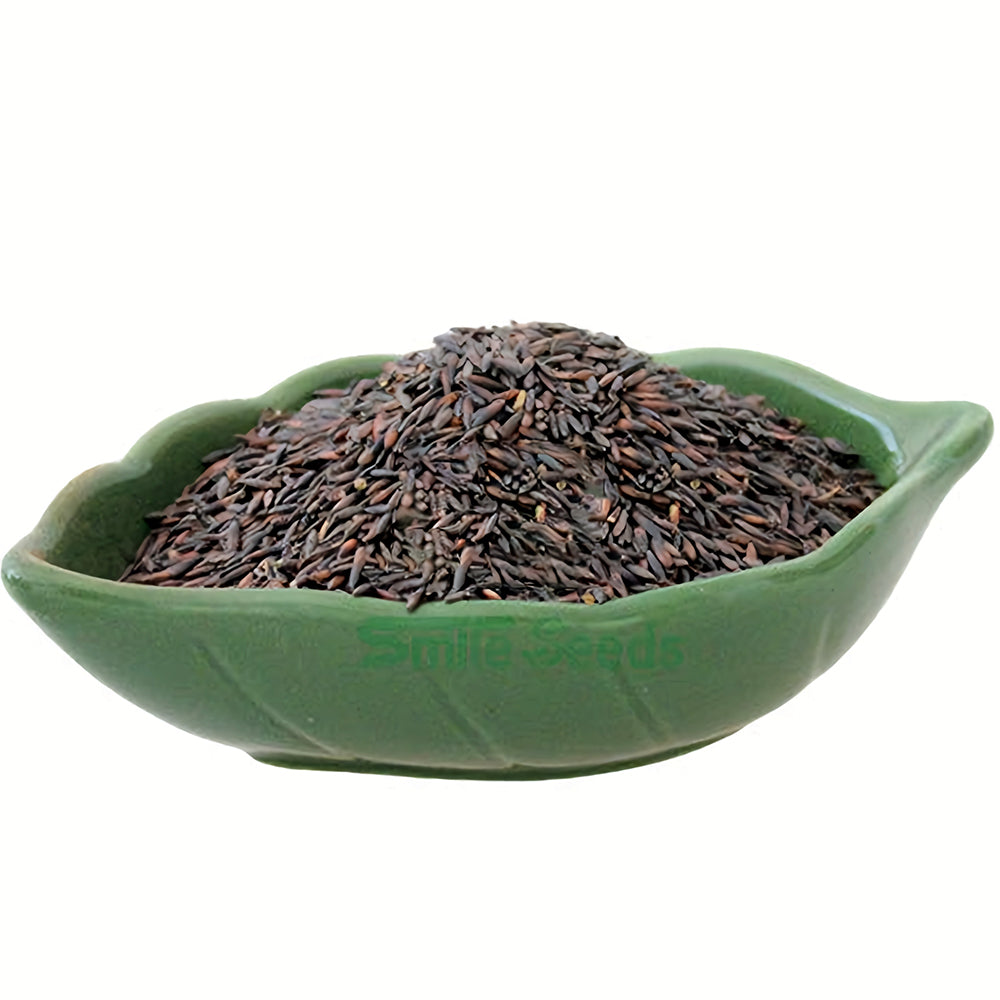 Your Garden's Crown: Wavyleaf Sea Lavender Seeds