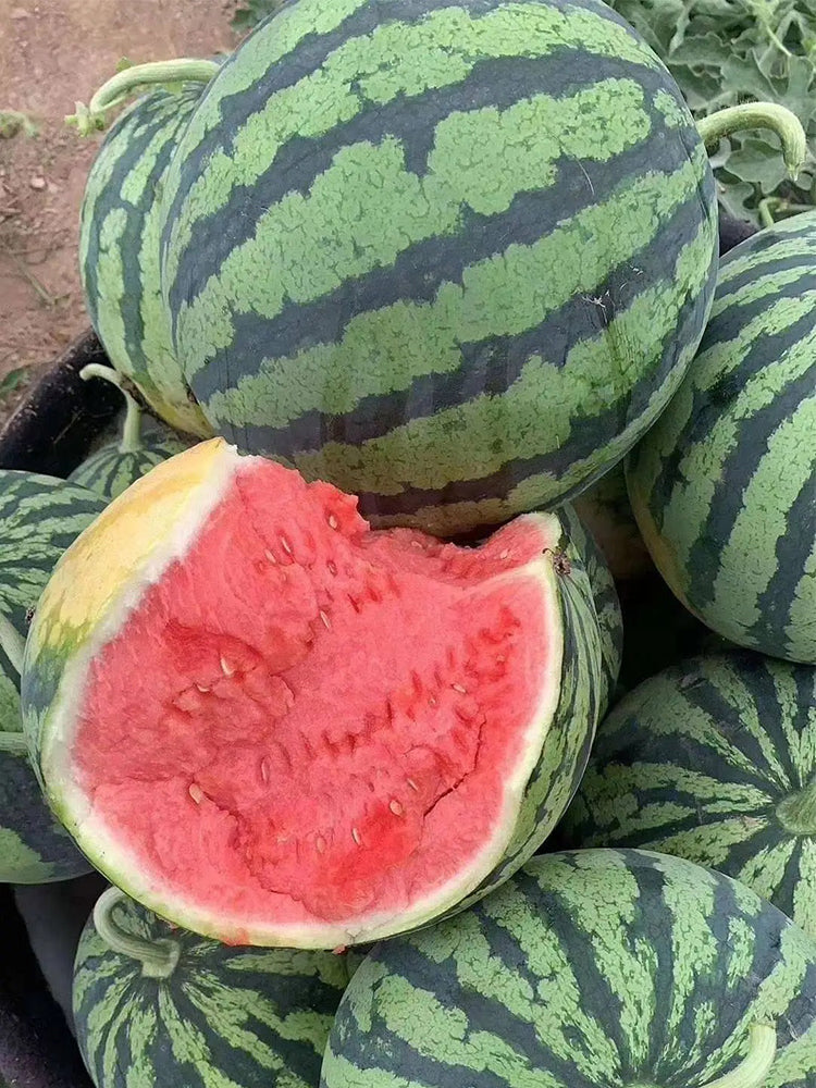 "Bingchuan Meidu" Watermelons