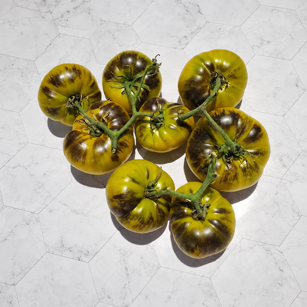 267 Cantati 17 Ocher Tomato