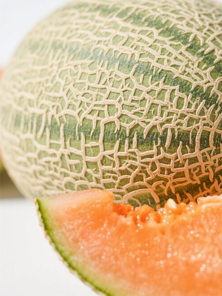 Maiour Melon Hybird F1 (Cucumis melo var. reticulatus)