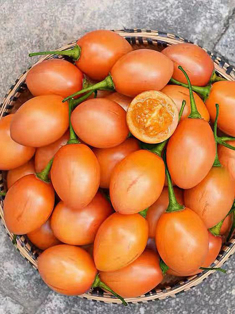 Tree tomato (Solanum betaceum Cav.)