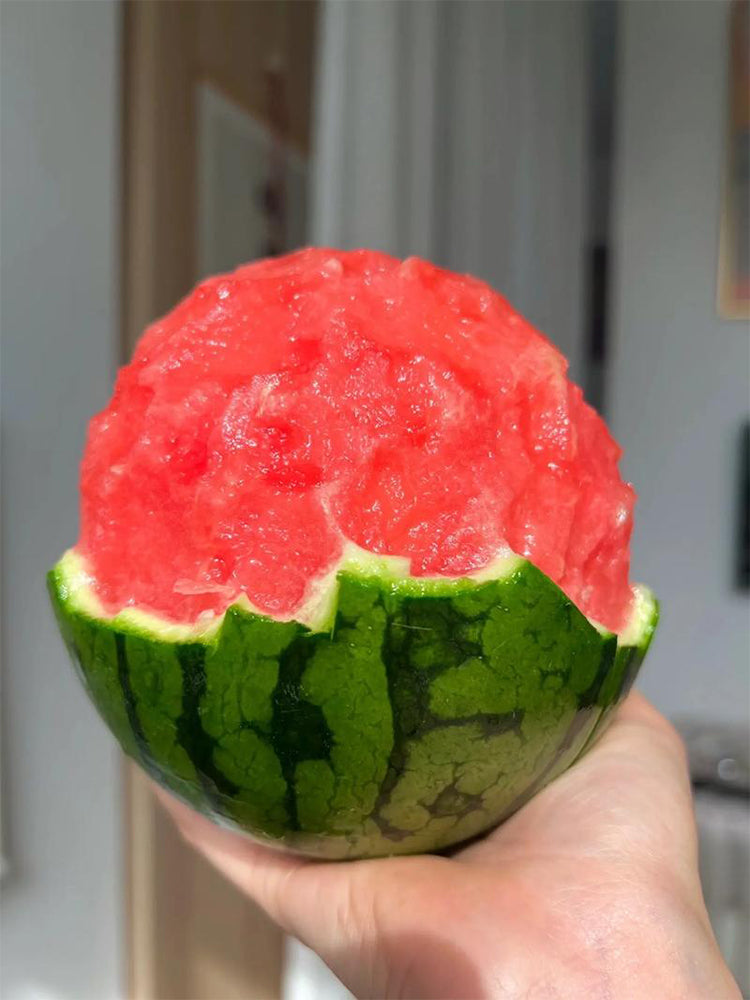 Sugar Globe Petite Watermelons