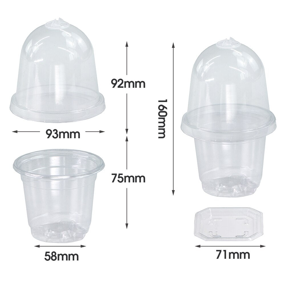 160x90MM Transparent PET Seed Stater Cups with Cover Humidity Dome