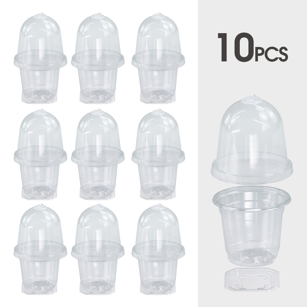 160x90MM Transparent PET Seed Stater Cups with Cover Humidity Dome