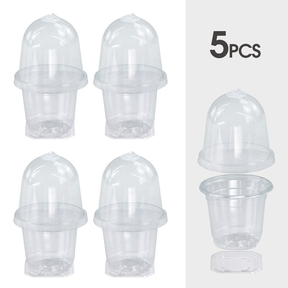160x90MM Transparent PET Seed Stater Cups with Cover Humidity Dome