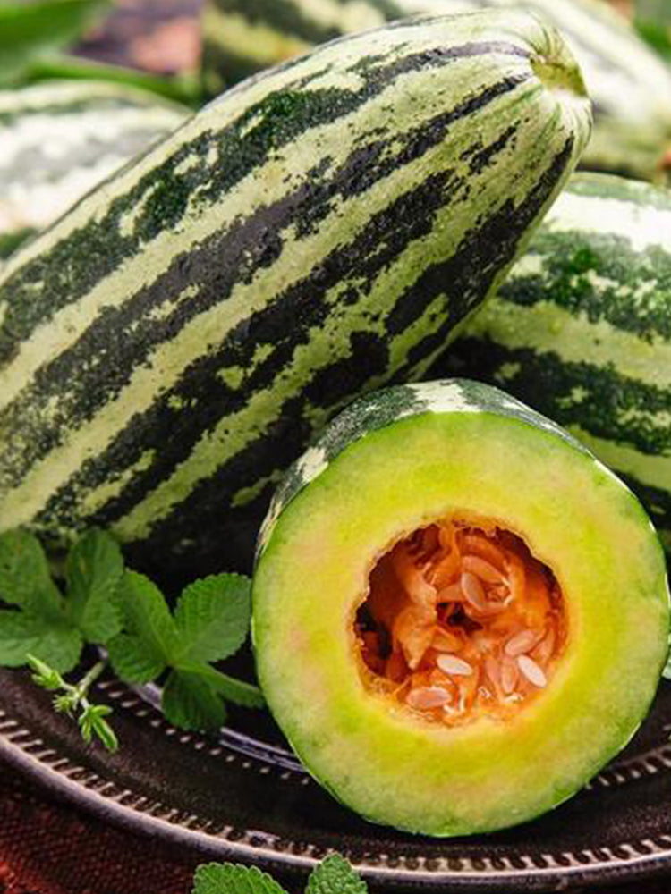 Extremely Sweet Melon