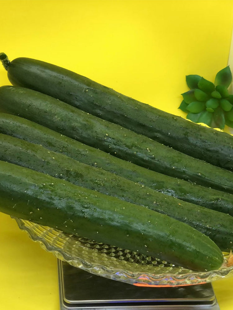 Guangliang No.74 Fruit Cucumbers