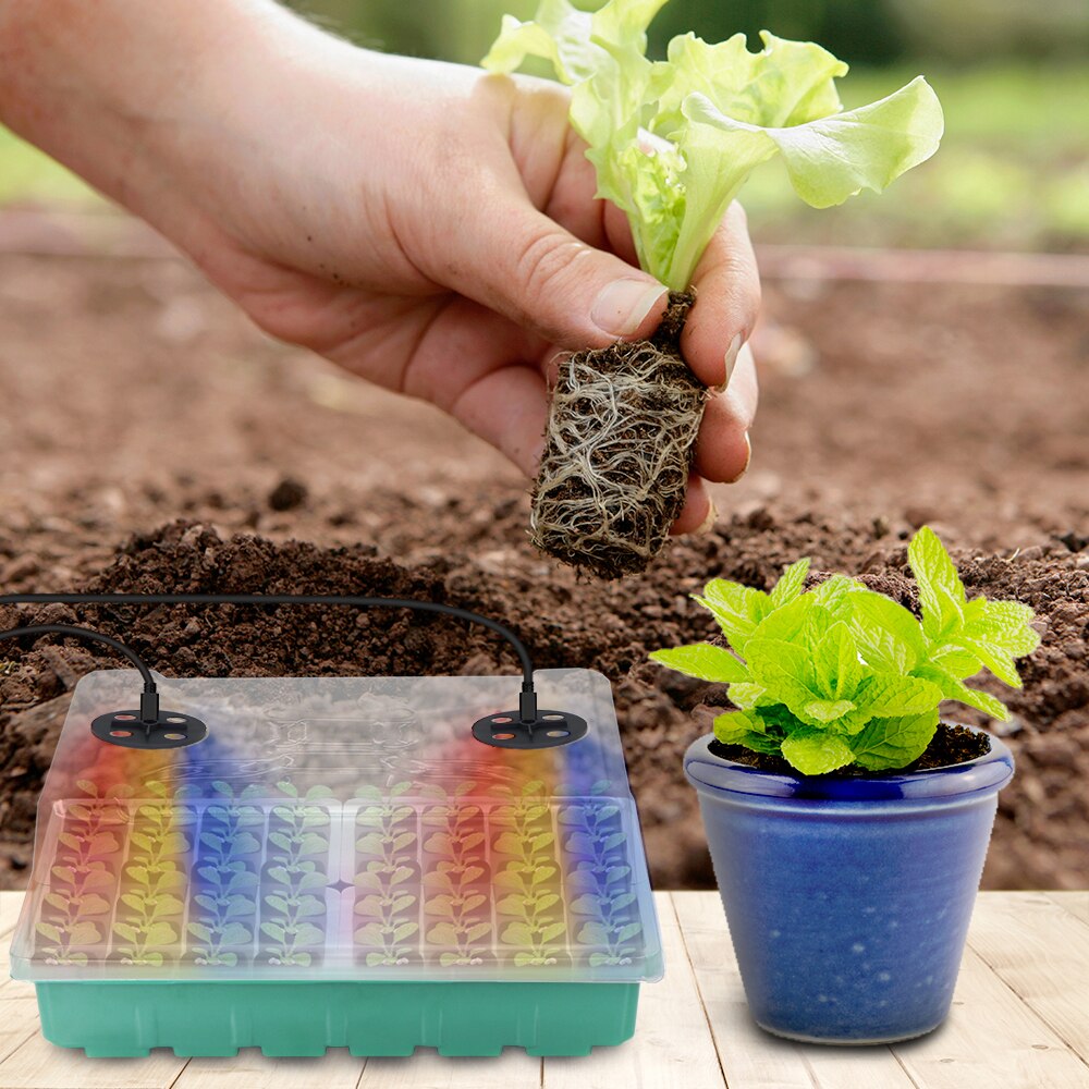 48-Cell Seedling Starter Tray with LED Grow Lights, Red-Blue-Warm 3-Light, Box 16cm Height