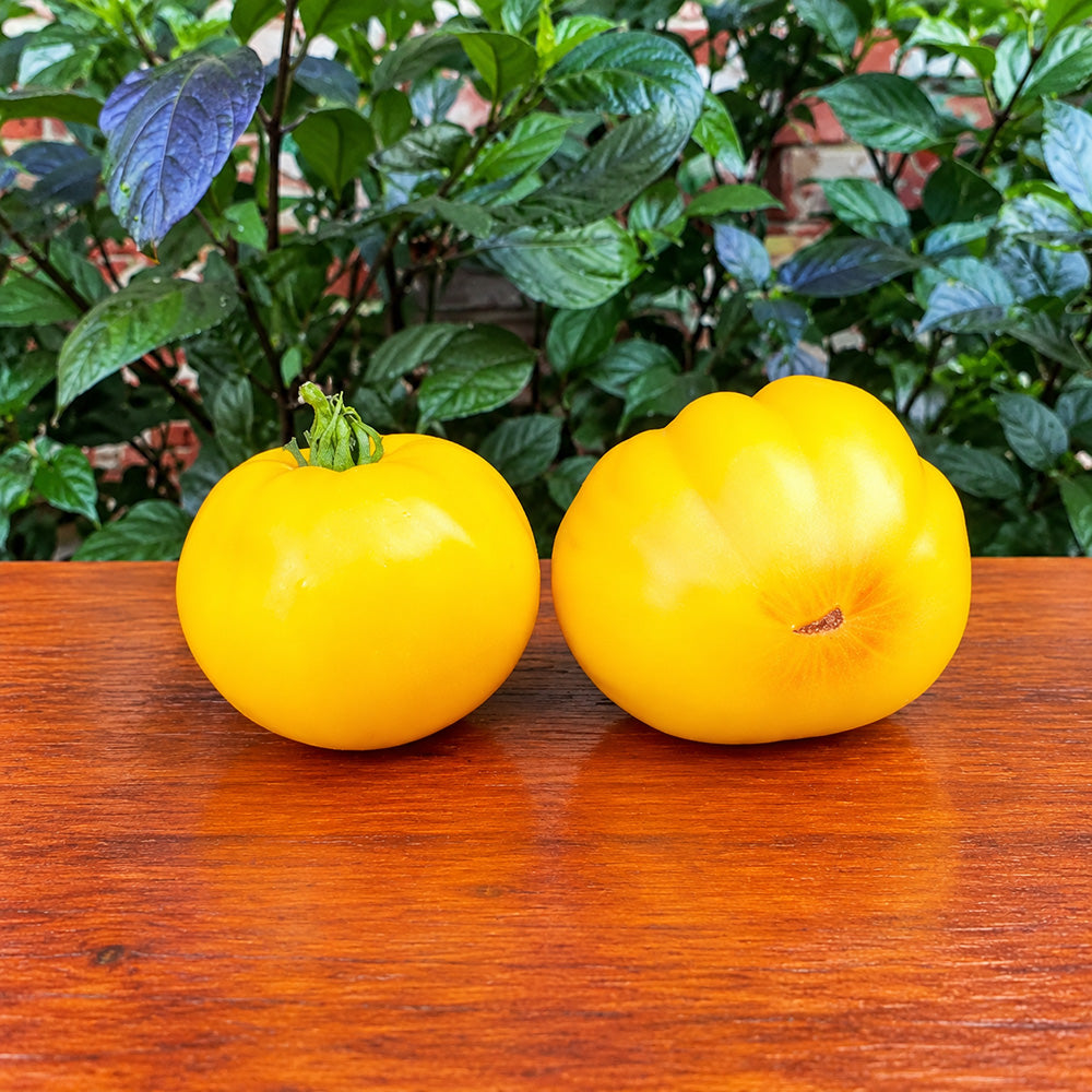 324 Minusinsk Mango Tomato