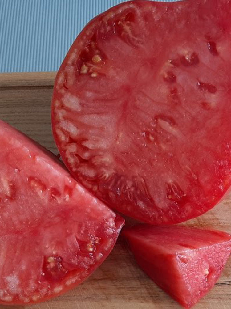 1064 Minusinsk Lord Tomato