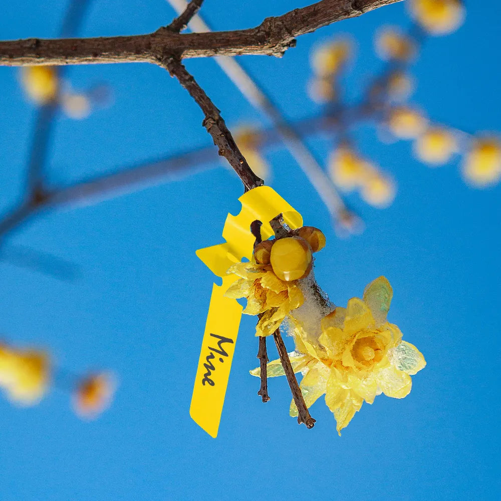 21x2CM Plastic Plant Labels Wrap Around Tree Markers, Set of 120