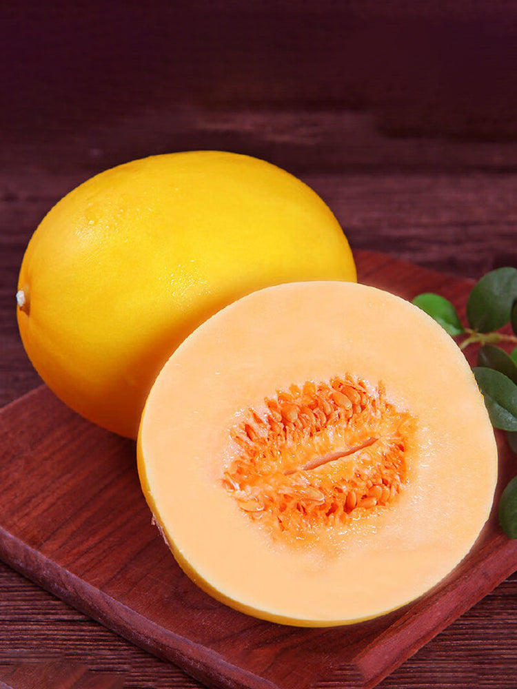 Hongyu Sweet Melon