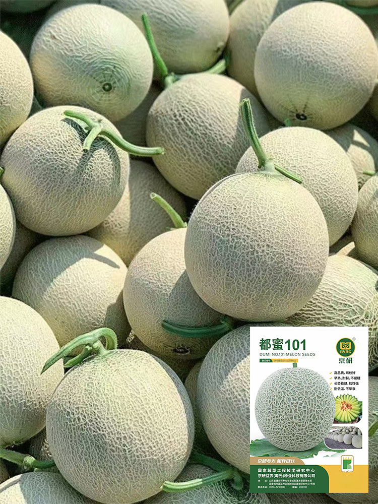 Dumi 101 Muskmelons