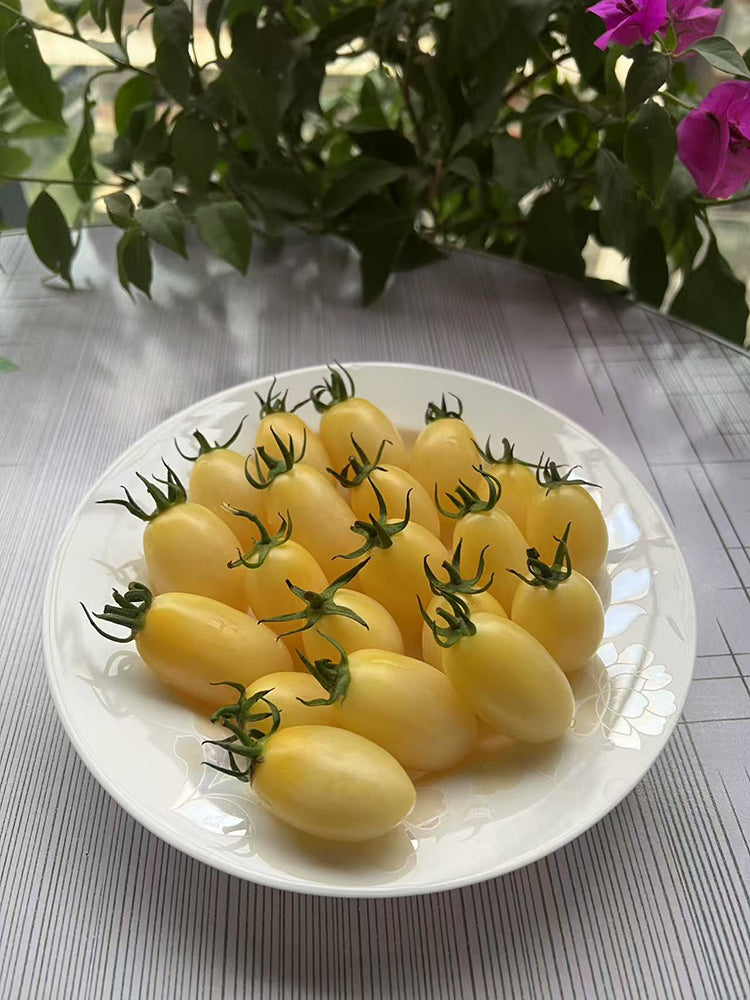 'White Princess F1' Tomato
