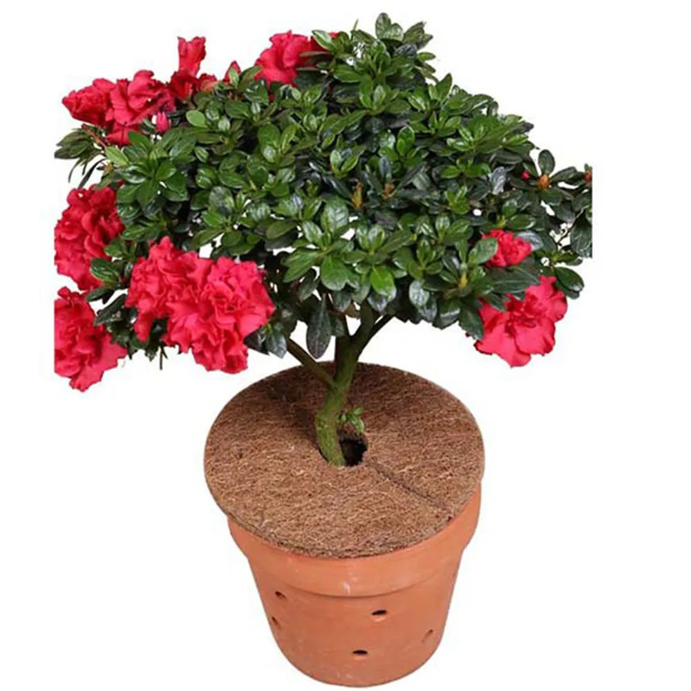 Coco Coir Plant Cover Mulch Mat for Weed Control, Planter Root Protection