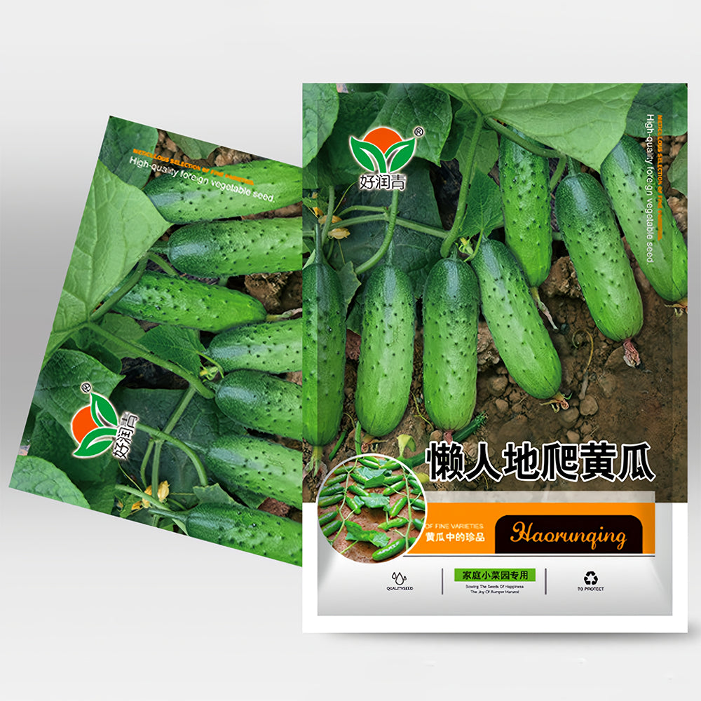 Lazy Gardener's Delight: 5 Bags (60 Seeds/Bag) No-Stake Climbing Cucumbers