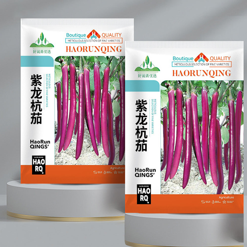5 Bags (100 Seeds / Bag) of 'Hang Zilong' Series Purple Eggplants