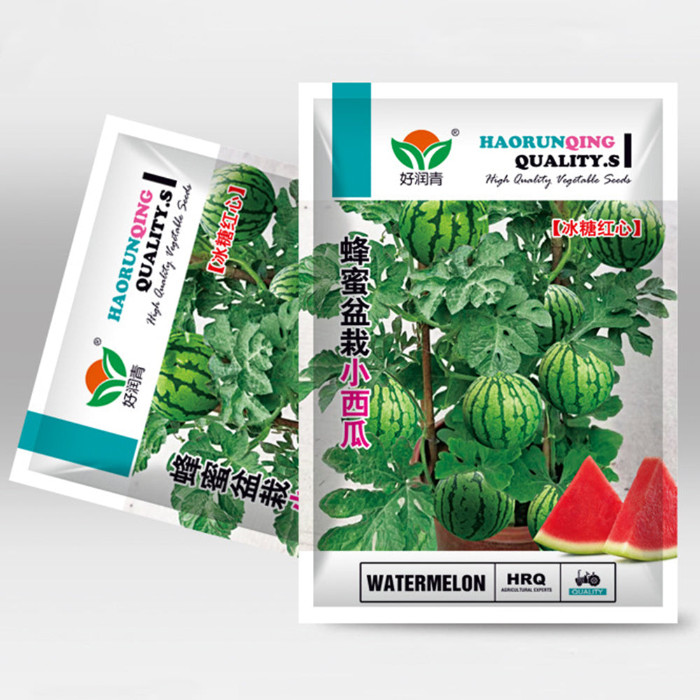 5 Bags (50 Seeds / Pack) of 'Apis Forea' Series Bonsai Watermelon Seeds