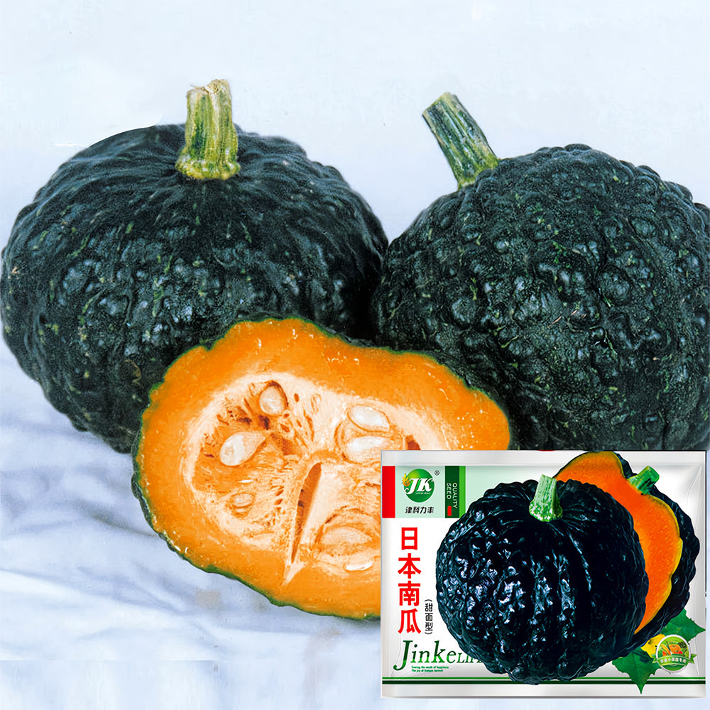 5 Bags (20 Seeds/Bag) of Japanese Black Pumpkin Seeds – MUCIAKIE