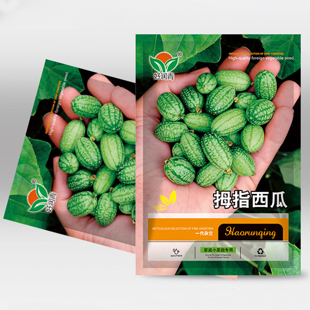 5 Bags (50 Seeds / Bag) of Cucamelons Seeds, Mexican Sour Gherkins
