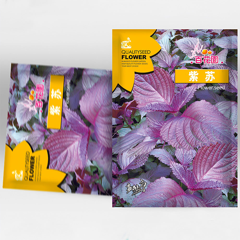 Exquisite Purple Shiso Seeds - Versatile Edible Spice