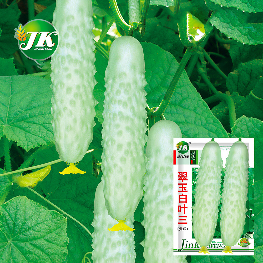 5 Bags (40 Seeds/Bag) of White Cucumber Seeds with Thorns