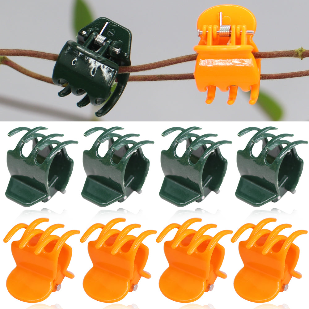 50PCS 23x23CM 6-Craw Orchid Clips