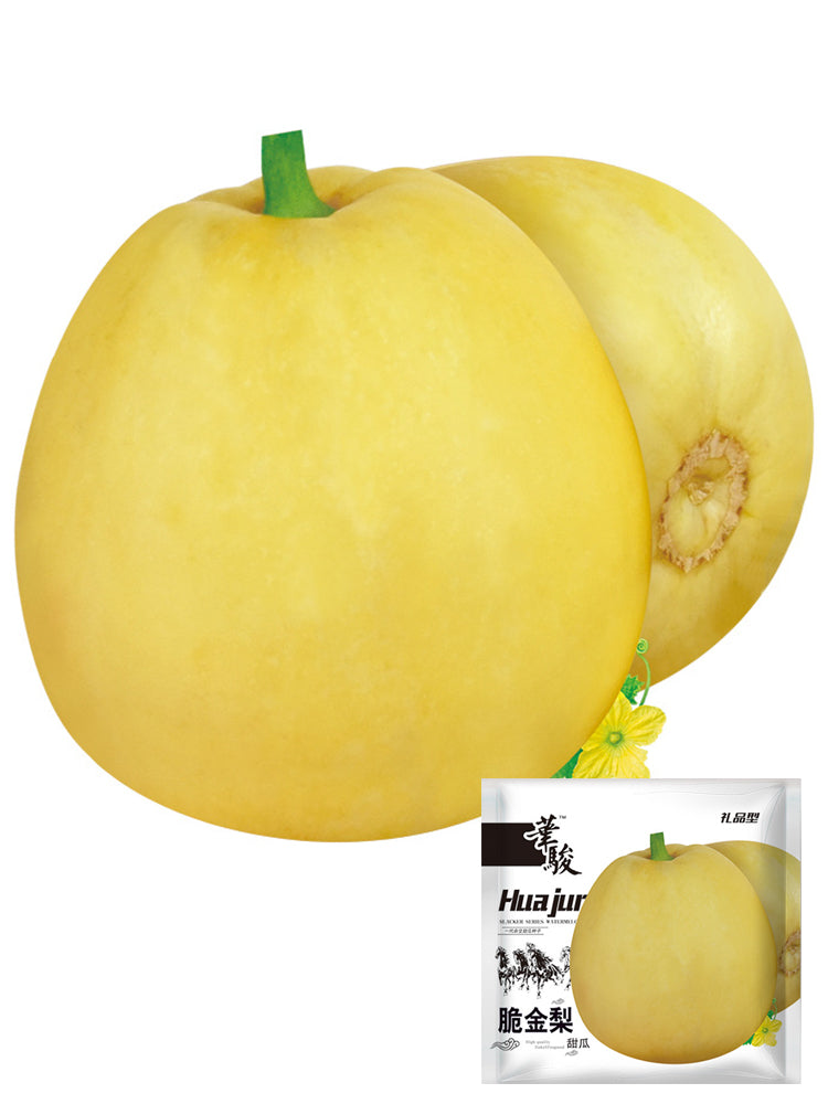 Pale Yellow Crispy Melon, Pear-Shaped