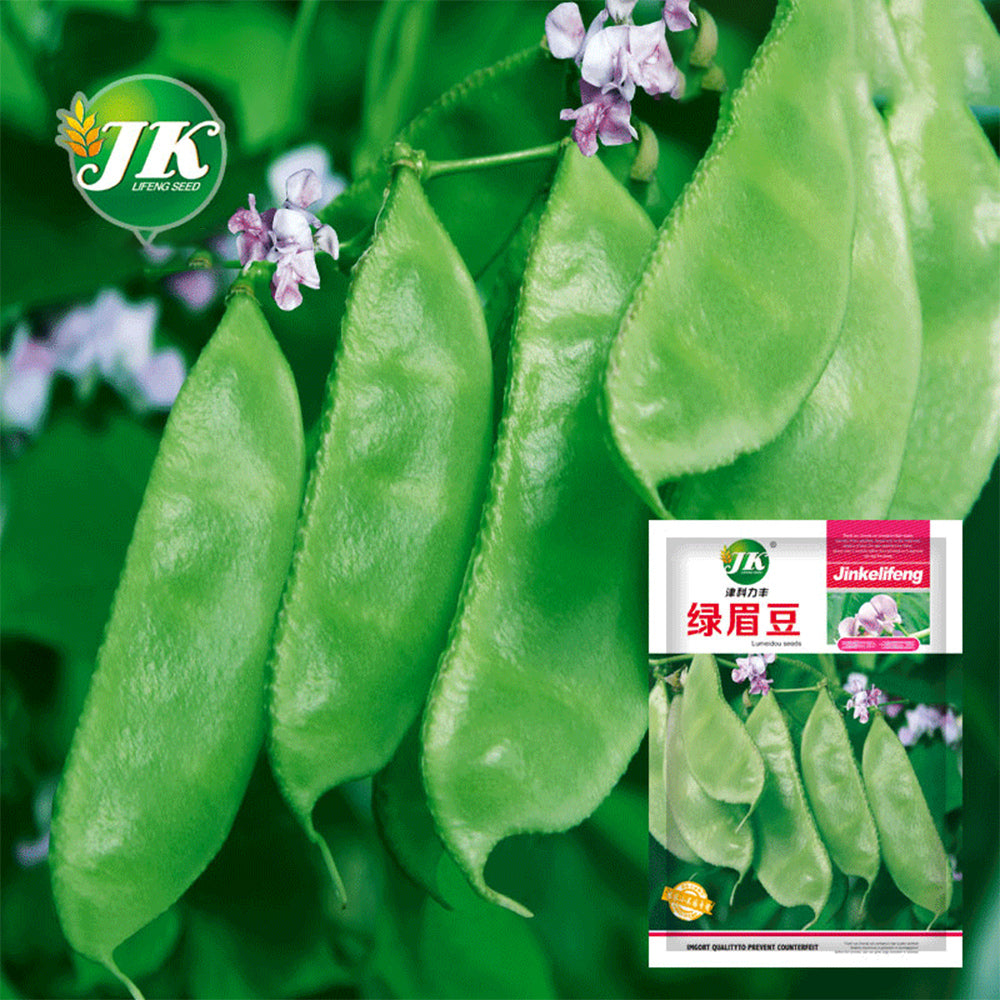 Refreshing Green Hues: 5 Bags (10 Seeds / Bag) of Hyacinth Bean