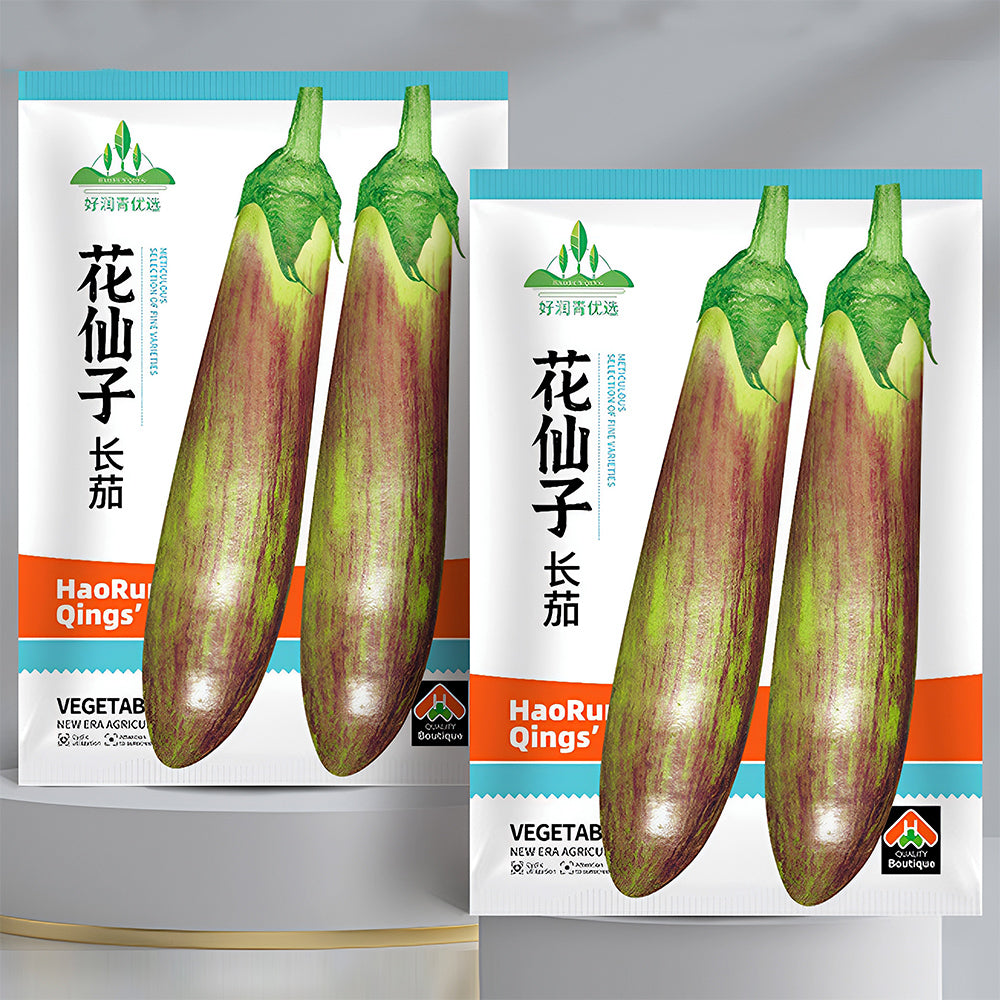 5 Bags (300 Seeds/Bag) of 'Sichuan Bamboo Silk' Eggplant Seeds