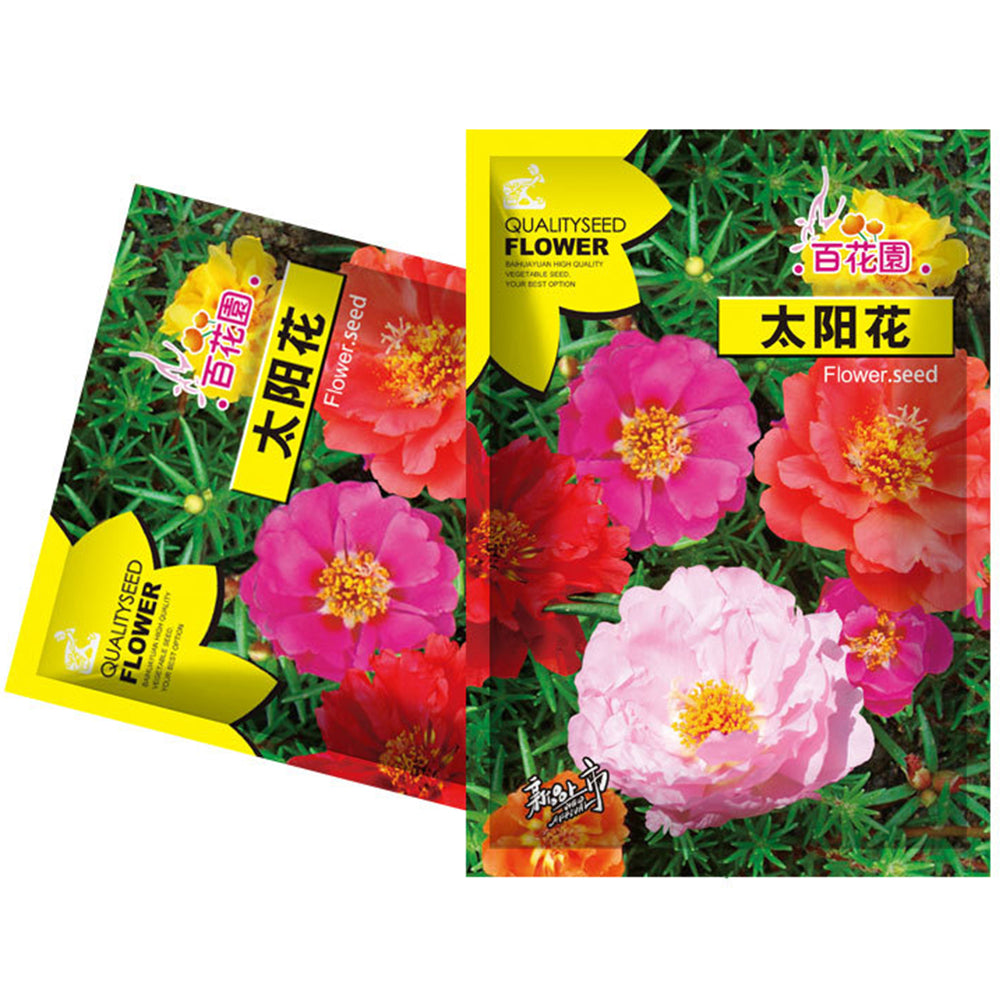 portulaca mixed flower seeds 5 Bags (500 Seeds / Bag) of Mixed Portulaca grandiflora – MUCIAKIE