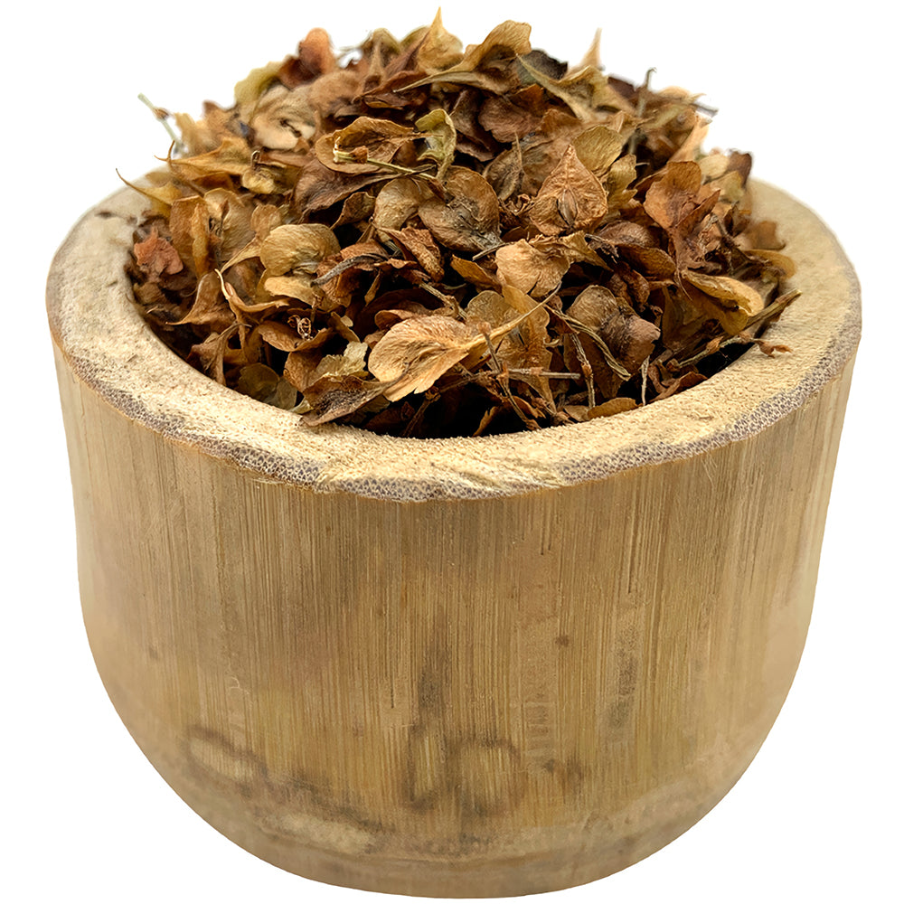 Premium Reynoutria Multiflora Seeds for Traditional Chinese Medicine
