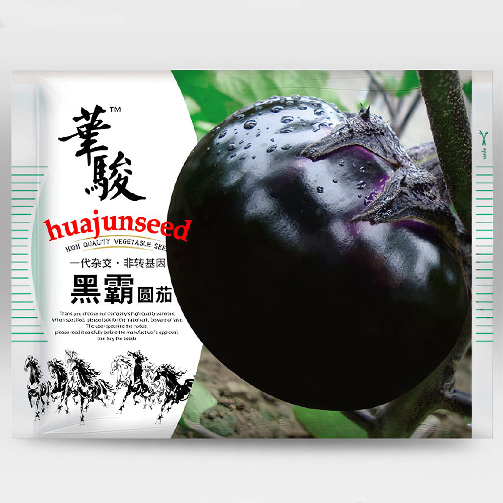 5 Bags (50 Seeds/Bag) of 'Black Boss' Round Eggplant Seeds