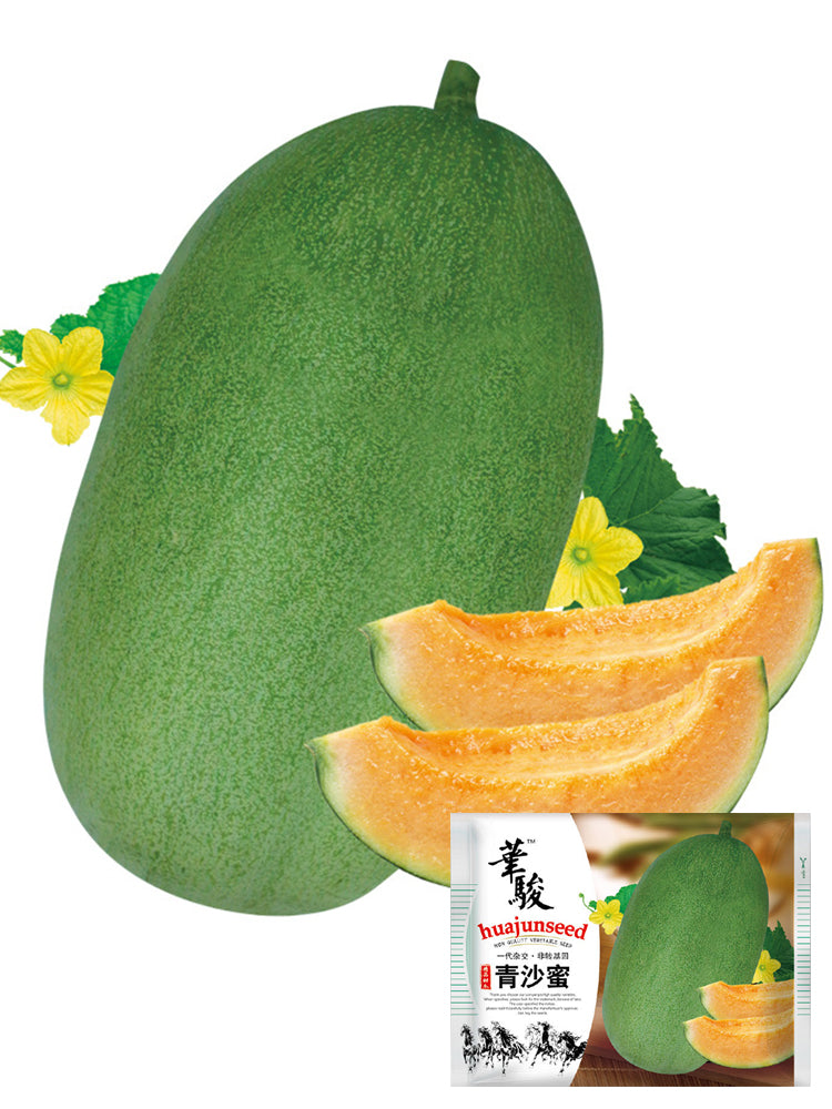 Qingshami Muskmelon