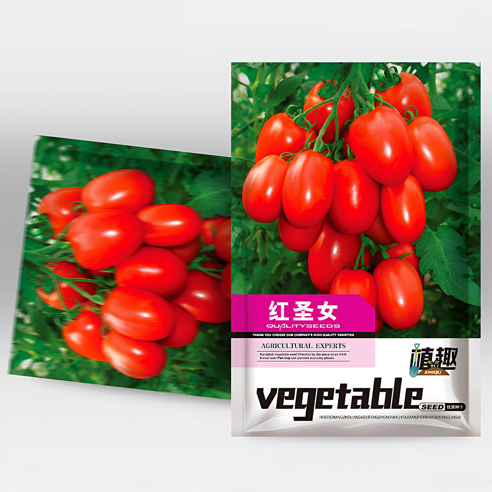 Easy-to-Grow Elegance: 5 Bags (200 Seeds / Bag) of 'Red Saint' Cherry Tomatoes