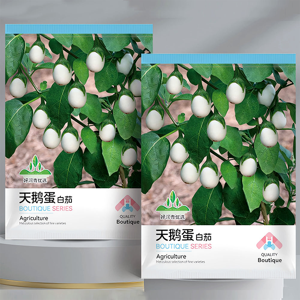 5 Bags (100 Seeds/Bag) of 'White Baby' Round Eggplant Seeds