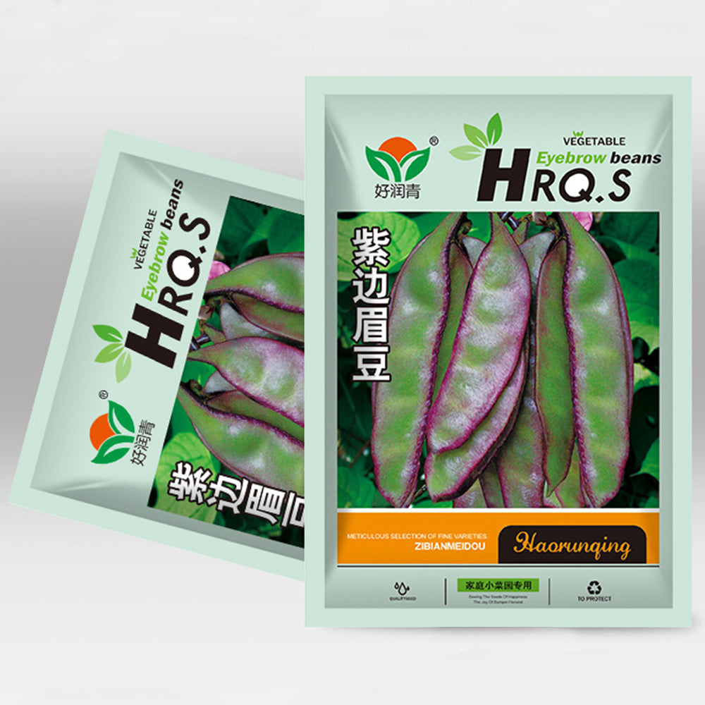 Dazzling Garden Additions: 5 Bags (10 Seeds / Bag) of Purple-Green Hyacinth Bean