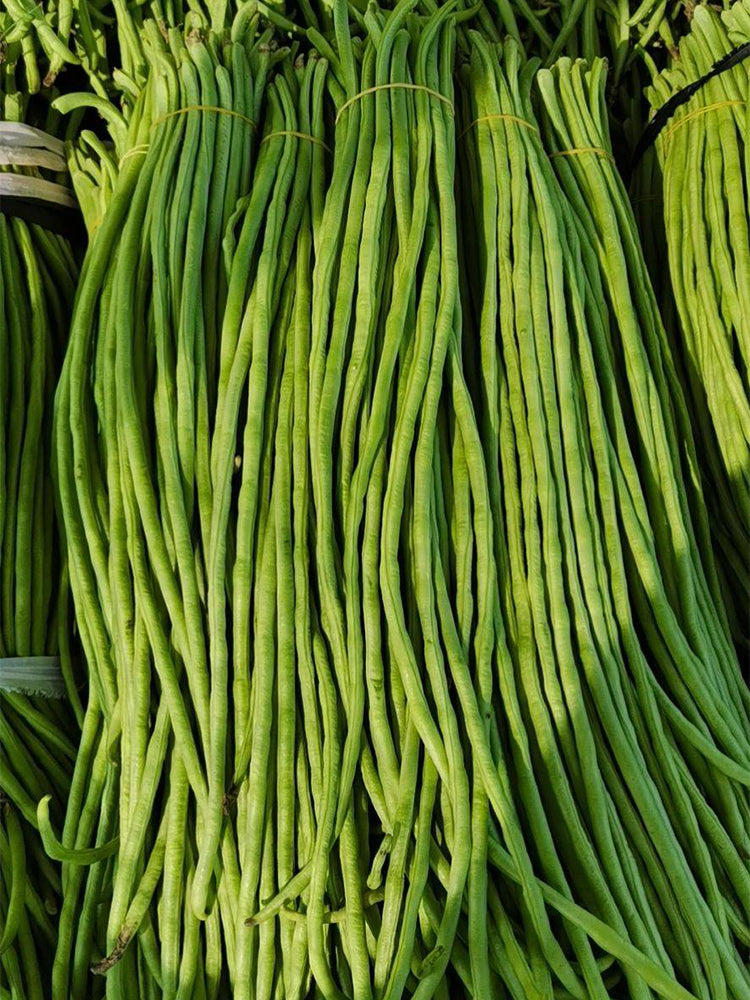 Huajun No.1 Yardlong Beans