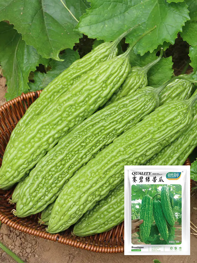 Emerald Green Bitter Melon