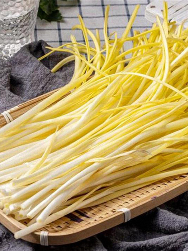 Huangxiangjiuwang Yellow Chives