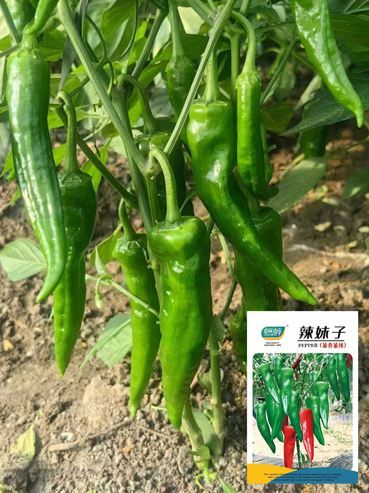 Lameizi Chili Peppers