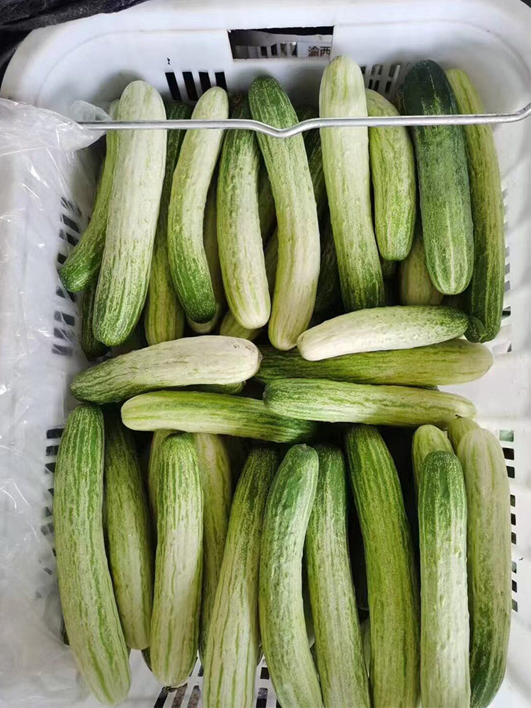 'Yanbai No.7' Long Green-and-white Cucumber Hybrid