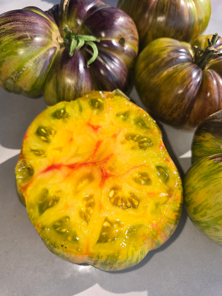 998 Eden Selection No. 9 F6 Tomato