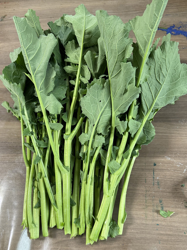 Lvyou No.10 Youcaitai (Chinese Flowering Cabbage)