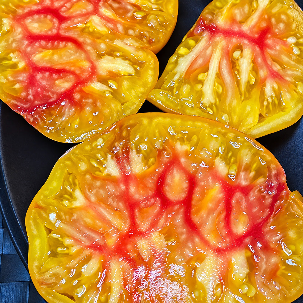 185 Tuxhorn's Red and Yellow Tomato
