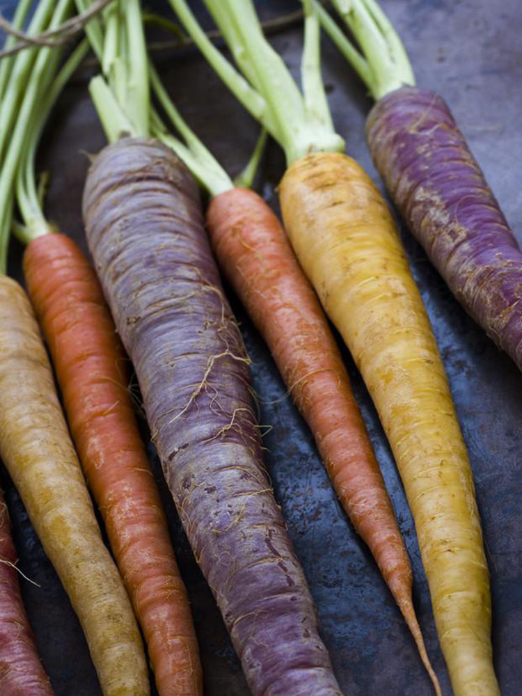Rainbow Carrot