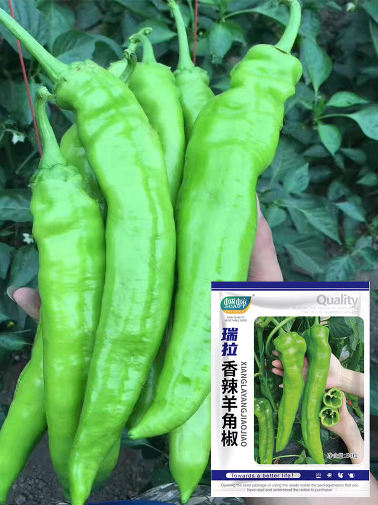 Ruila Spicy Goat's Horn Pepper